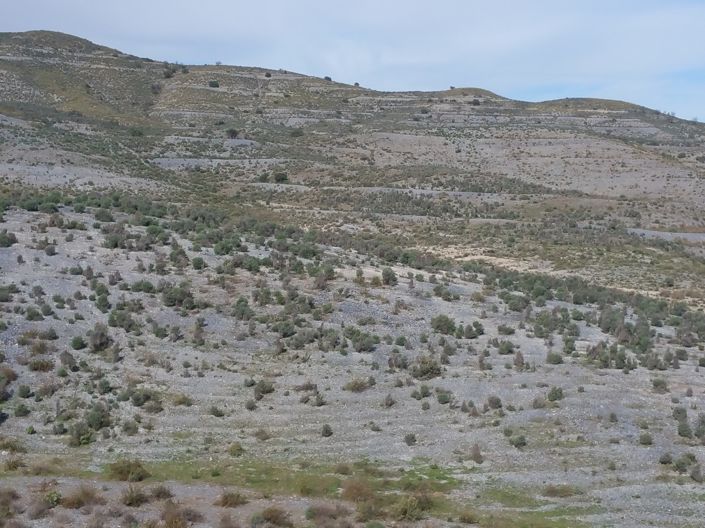 Image No.6-Land for sale