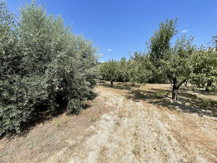 Image No.4-Land for sale