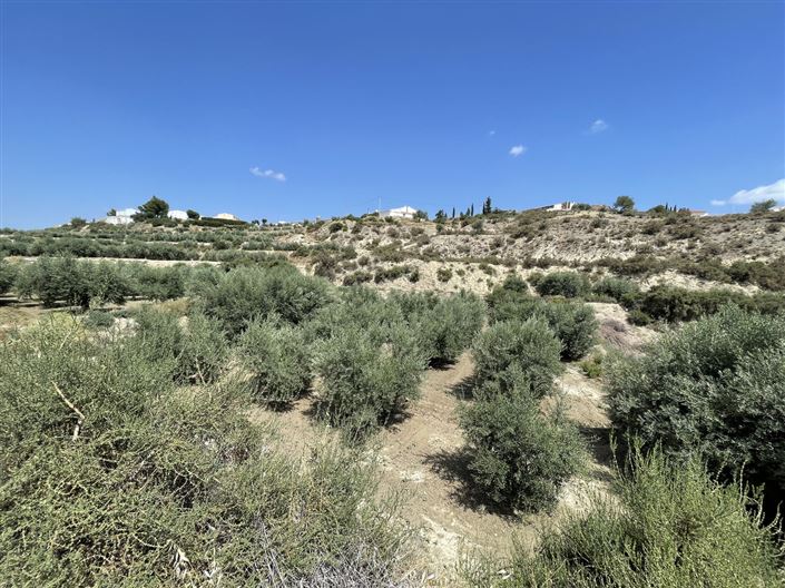 Image No.5-Land for sale