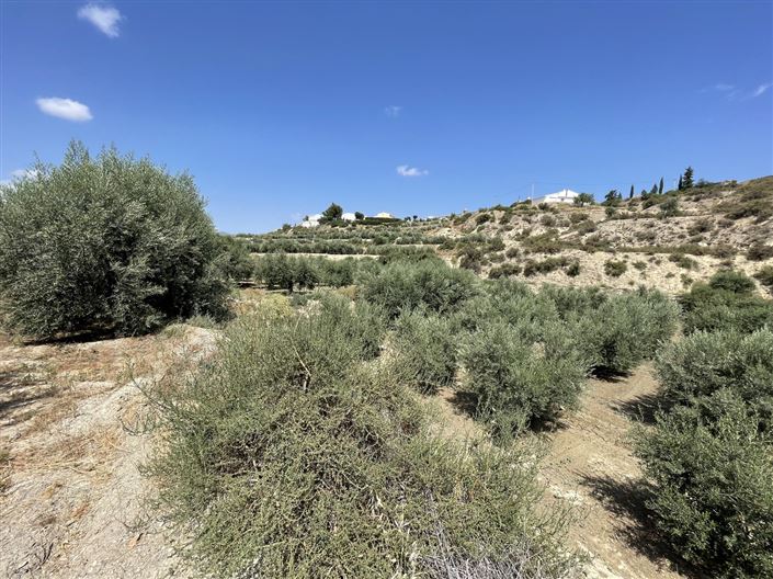 Image No.8-Land for sale