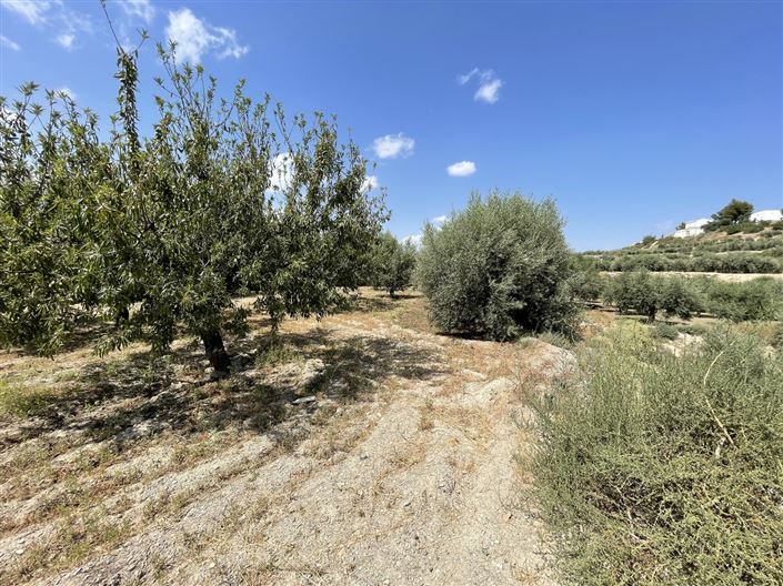 Image No.9-Land for sale