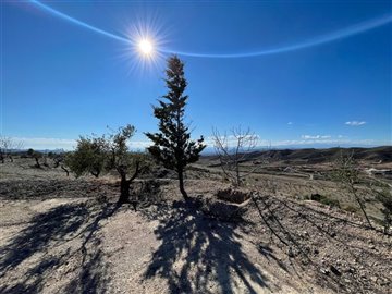 19026-land-for-sale-in-huercal-overa-523861-x