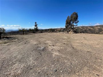 19026-land-for-sale-in-huercal-overa-523855-x