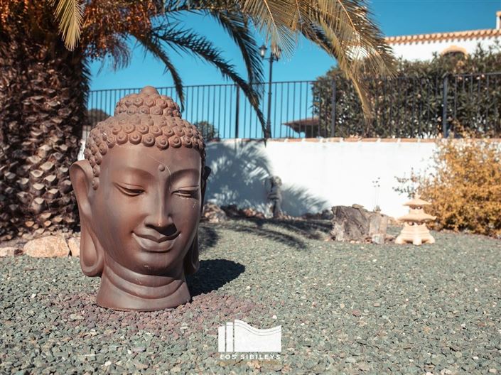 Image No.25-6 Bed Commercial for sale