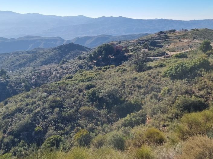 Image No.4-Terre à vendre à Bédar