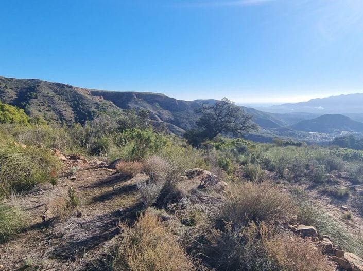 Image No.5-Terre à vendre à Bédar