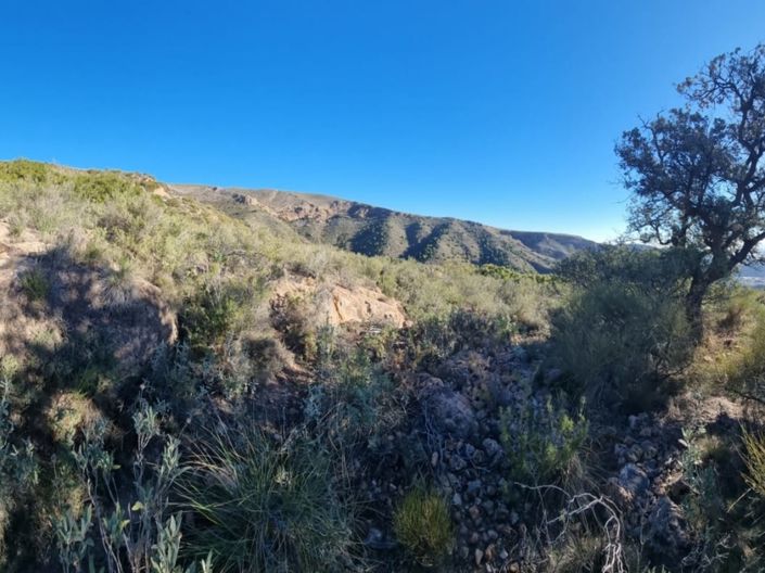 Image No.6-Terre à vendre à Bédar