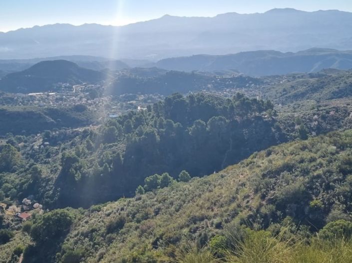 Image No.8-Terre à vendre à Bédar