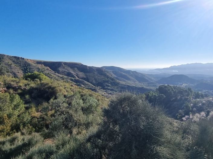 Image No.9-Terre à vendre à Bédar