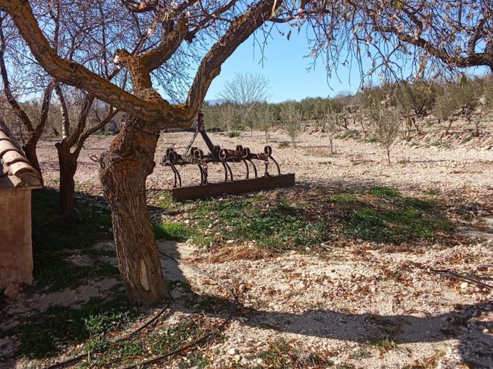 Image No.25-3 Bed Villa for sale