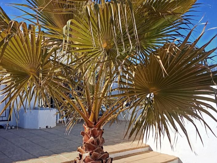 Image No.16-4 Bed Villa for sale