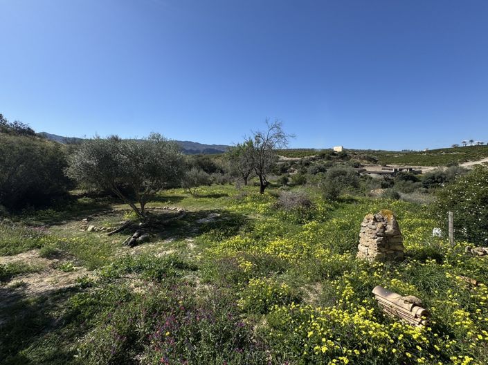 Image No.28-Propriété de 3 chambres à vendre à Almeria