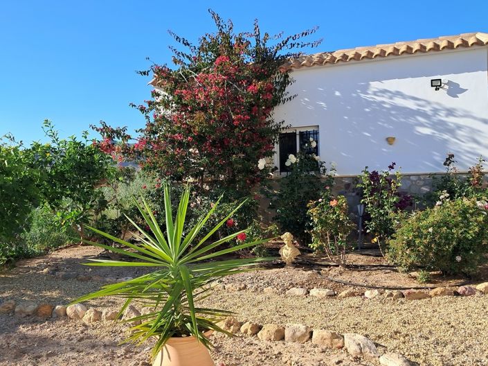 Image No.5-4 Bed Villa for sale