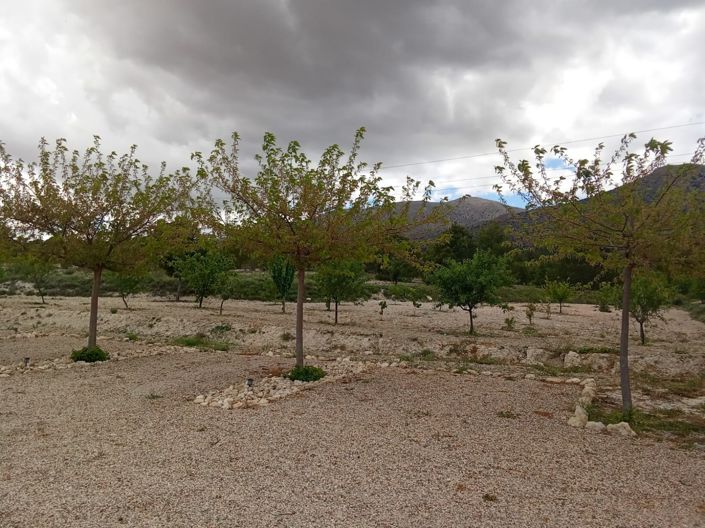 Image No.29-Propriété de 6 chambres à vendre à Chirivel