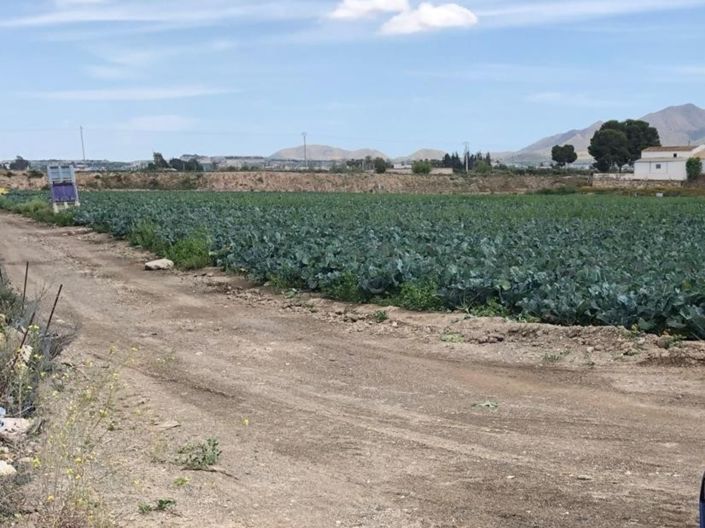 Image No.4-Terre à vendre à Huercal-Overa