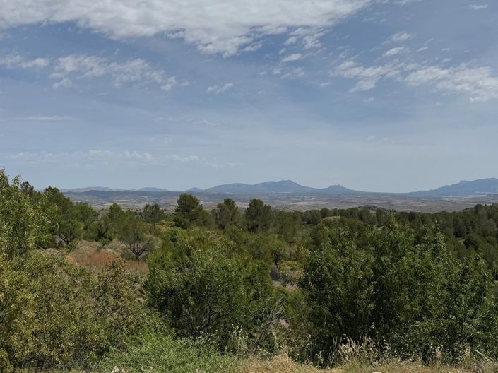 Image No.30-3 Bed Villa for sale