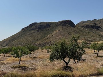 22346-villa-for-sale-in-arboleas-807294-xml