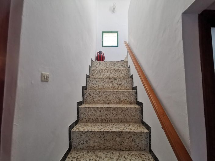 Image No.5-Propriété de 3 chambres à vendre à Velez-Rubio