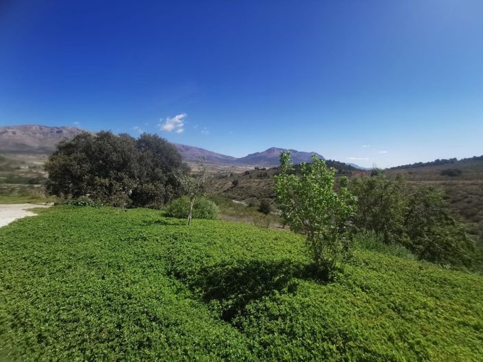 Image No.2-7 Bed Property for sale