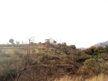 23308-cortijo-finca-for-sale-in-chirivel-8571