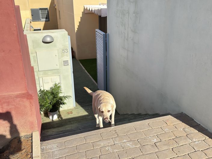 Image No.24-Villa de 2 chambres à vendre à Almeria