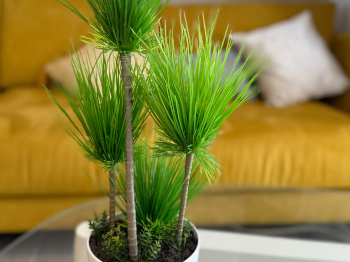 Image No.5-1 Bed Apartment for sale