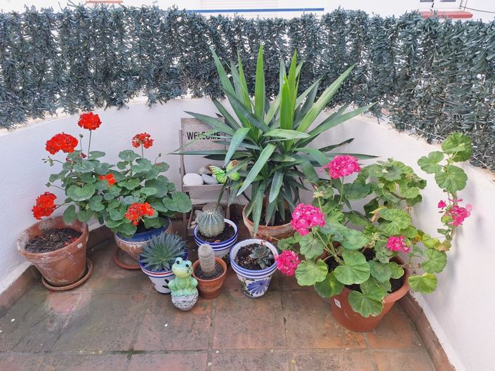 Image No.14-1 Bed Apartment for sale