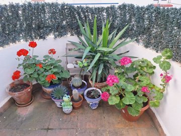 24100-apartment-for-sale-in-mojacar-930454-xm