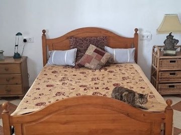 24486-cortijo-finca-for-sale-in-arboleas-9815