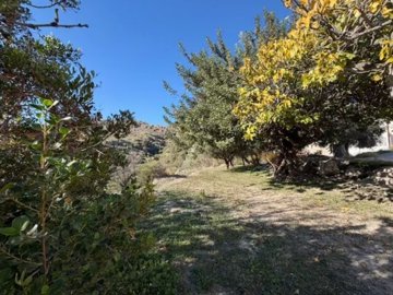 24645-cortijo-finca-for-sale-in-cariatiz-9969