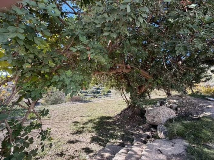Image No.3-Propriété de 5 chambres à vendre à Sorbas