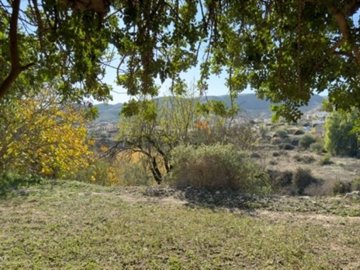 24645-cortijo-finca-for-sale-in-cariatiz-9968