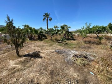24633-land-for-sale-in-huercal-overa-1025656-