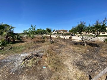 24633-land-for-sale-in-huercal-overa-1025655-