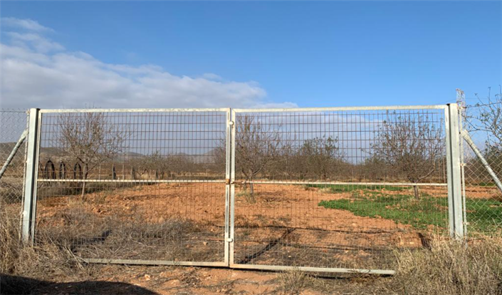 Image No.2-Finca à vendre à Murcie