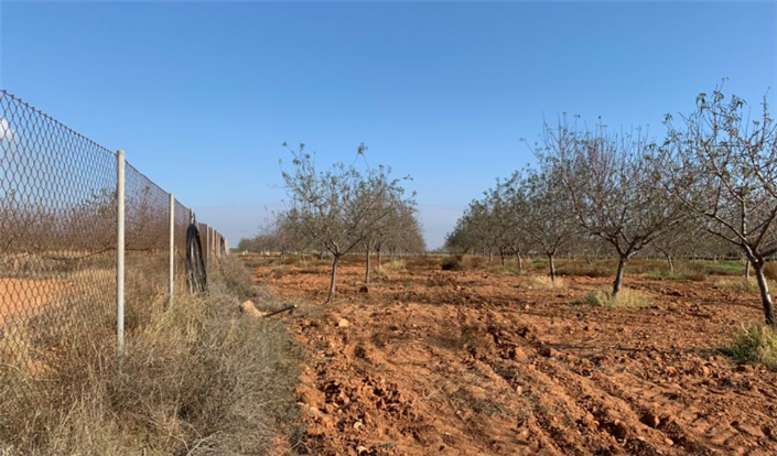 Image No.6-Finca à vendre à Murcie