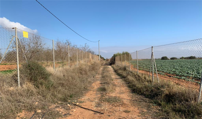 Image No.7-Finca à vendre à Murcie