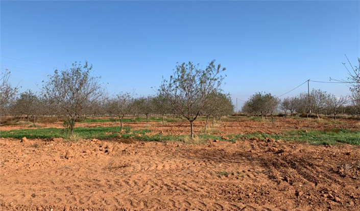 Image No.10-Finca à vendre à Murcie