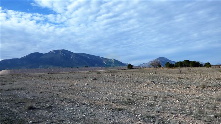 Image No.10-Terrain à vendre à Lorca