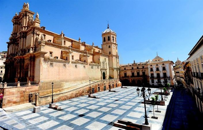 Image No.9-Terrain à vendre à Lorca