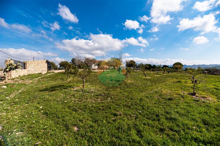 Image No.3-4 Bed Finca for sale