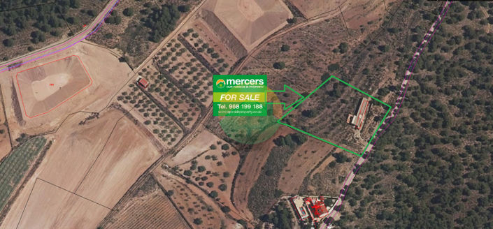 Image No.6-4 Bed House for sale