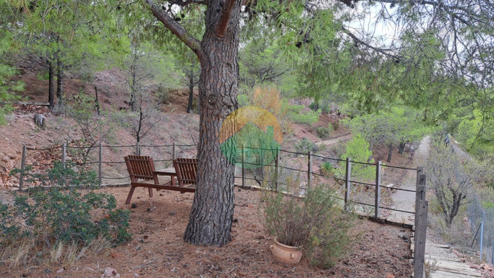 Image No.25-Maison de 5 chambres à vendre à Aledo