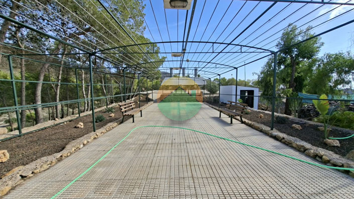 Image No.2-3 Bed Finca for sale