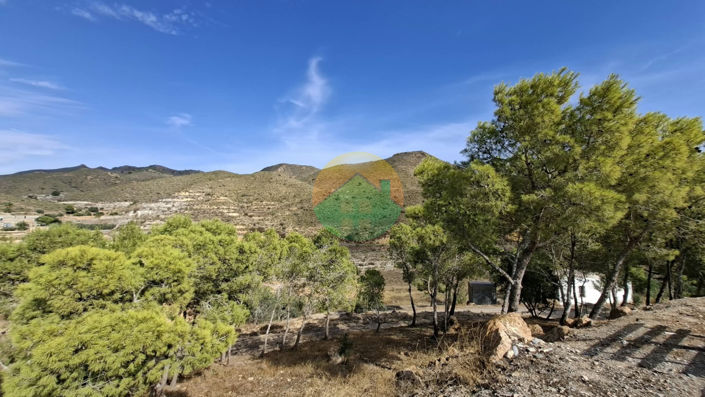 Image No.26-3 Bed Finca for sale