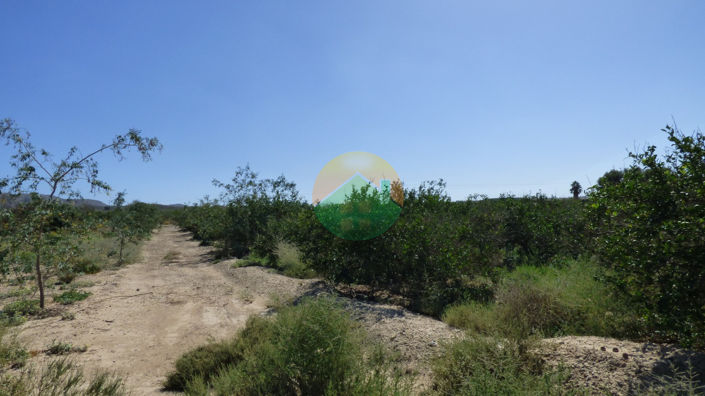 Image No.7-Plot for sale