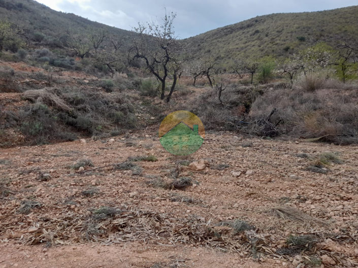 Image No.10-Finca à vendre à Lorca