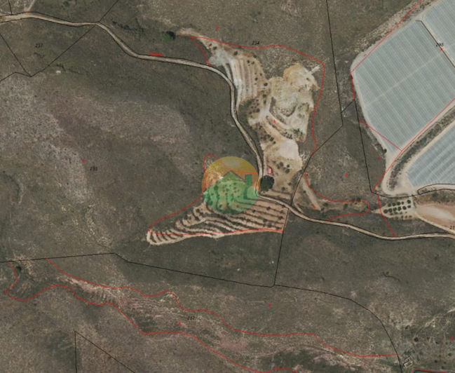 Image No.3-Finca à vendre à Lorca