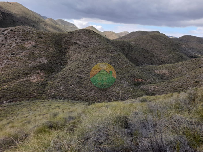 Image No.8-Finca à vendre à Lorca