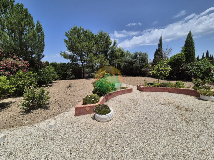 Image No.11-Finca de 3 chambres à vendre à Calasparra